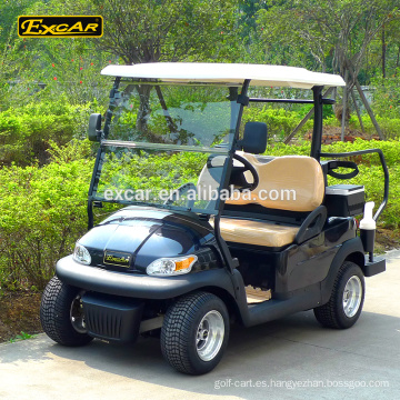 Carrito de golf eléctrico de 2 plazas carrito de jardín carrito de golf eléctrico con errores
